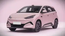 BYD Dolphin Mini 2027 / Great Seagull