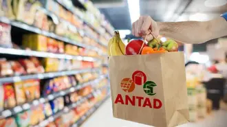 La ANTAD detalló que por tipo de tienda, las departamentales tuvieron el peor desempeño.

Para más información del tema, visita: https://www.eleconomista.com.mx/empresas/caida-1-7-ventas-tiendas-antad-febrero-pone-racha-crecimiento-cuatro-anos-20250313-750437.html

¡Síguenos en nuestras redes sociales para mantenerte informado!

Twitter: https://twitter.com/eleconomista 
Facebook: https://www.facebook.com/ElEconomista.mx
Instagram: https://www.instagram.com/eleconomistamx
LinkedIn: https://www.linkedin.com/company/el-economista/

#ElEconomista #EETV