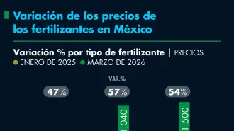 El Economista