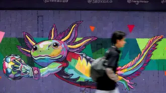 Un joven pasa junto a un muro con una imagen del ajolote pintado en un muro de la Ciudad de México. Su uso en imágenes públicas con motivo de la Copa Mundial de la FIFA 2026 ha generado división entre los residentes, quienes afirman que se debe hacer más para proteger su hábitat.