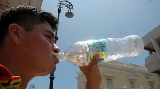 El Economista