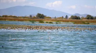 El lago de Texcoco. Foto Reuters.