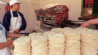Las tortillas suben porque faltan insumos, el maíz el cual se está disparando