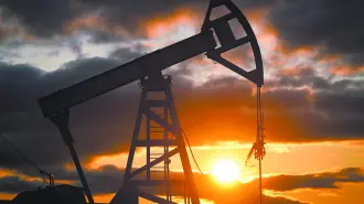 Descripción automática