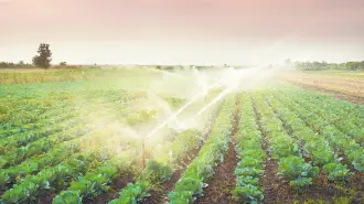 Descripción automática