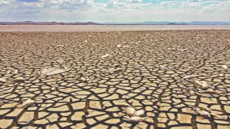 Descripción automática