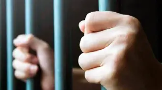 En Veracruz, México, hay presencia de cárteles de las drogas y bandas dedicadas al secuestro, robo y extorsión.

Para más información del tema, visita: https://www.eleconomista.com.mx/politica/confirman-muerte-cinco-guatemaltecos-motin-carcel-veracruz-20250807-771711.html

¡Síguenos en nuestras redes sociales para mantenerte informado!

Twitter: https://twitter.com/eleconomista 
Facebook: https://www.facebook.com/ElEconomista.mx
Instagram: https://www.instagram.com/eleconomistamx
LinkedIn: https://www.linkedin.com/company/el-economista/

#ElEconomista #EETV