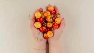 Alimentación balanceada es la clave