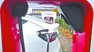 Descripción automática