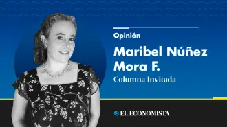 Maribel Núñez Mora F. | Columna Invitada