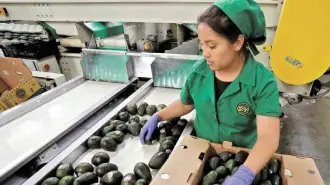 Las cifras del tercer trimestre confirman la creación de empleo más baja para un periodo enero-septiembre desde el 2014. 

Para más información del tema, visita: https://www.eleconomista.com.mx/capital-humano/creacion-empleo-primeros-tres-trimestres-ano-baja-decada-20251126-788364.html

¡Síguenos en nuestras redes sociales para mantenerte informado!

Twitter: https://twitter.com/eleconomista 
Facebook: https://www.facebook.com/ElEconomista.mx
Instagram: https://www.instagram.com/eleconomistamx
LinkedIn: https://www.linkedin.com/company/el-economista/

#ElEconomista #Desempleo