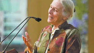 Descripción automática