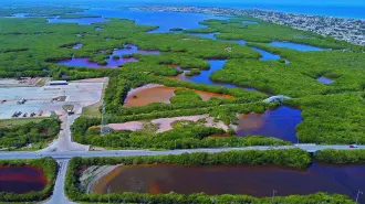 La nueva Ley General y la reforma a la Ley de Aguas Nacionales se discutirán hoy en la Comisión de Recursos Hidráulicos de la Cámara de Diputados. Por otro lado, productores de Chihuahua, Aguascalientes, Guanajuato y Baja California Sur, luego de reunirse con legisladores de oposición, advirtieron que alistan movilizaciones con tractores como forma de presión para ser escuchados.