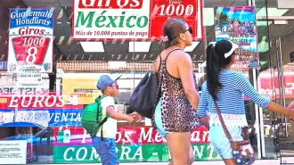 Descripción automática