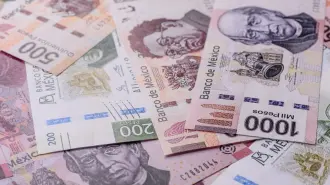 La distancia entre remuneraciones profesionales y salario mínimo se acorta cada vez más y enciende alertas en el mercado laboral.