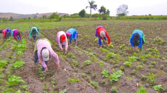 Tamaulipas, Nuevo León, Chihuahua y Coahuila son los que sufrirían, principalmente, las consecuencias.
