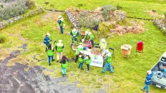 Descripción automática