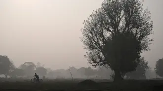 Niños pasean en bicicleta por un campo en una mañana de invierno .