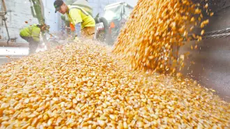 Descripción automática