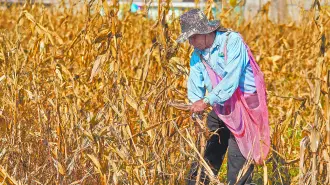 Descripción automática