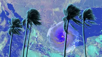 Ilustración EE: Laura Castillo