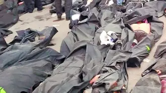 Descripción automática