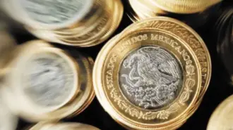 El peso alcanza su mejor nivel desde julio del año pasado, en un mercado que revisa las cifras clave de la inflación al consumidor de diciembre en EU.

Para más información del tema, visita: https://www.eleconomista.com.mx/mercados/precio-dolar-hoy-13-enero-2026-cuanto-cotiza-20260113-795039.html
Twitter: https://twitter.com/eleconomista 
Sitio web: https://www.eleconomista.com.mx/ 
Facebook: https://www.facebook.com/ElEconomista.mx 

#ElEconomista #CapitalHumano #EETV