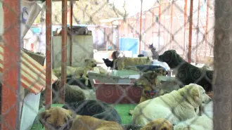 Refugio Franciscano.