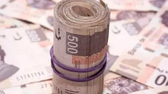 Al norte del país, Tamaulipas presentó el crecimiento más importante en el salario promedio, al registrar un alza de 9.3%, avanzando de un salario diario de 603.32 pesos en el 2024 a 659.13 pesos en el 2025.

Para más información del tema, visita: https://www.eleconomista.com.mx/estados/tamaulipas-baja-california-tlaxcala-registraron-mayores-alzas-salariales-20260114-795315.html

¡Síguenos en nuestras redes sociales para mantenerte informado!

Twitter: https://twitter.com/eleconomista 
Facebook: https://www.facebook.com/ElEconomista.mx
Instagram: https://www.instagram.com/eleconomistamx
LinkedIn: https://www.linkedin.com/company/el-economista/

#ElEconomista #Salario