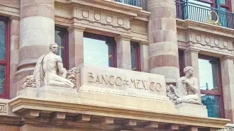 De acuerdo con los resultados de la encuesta de Citi, 20 de los 35 entrevistados anticipa que será en mayo cuando aplicarán un recorte de 25 puntos base, que llevaría la tasa a un nivel de 6.75 por ciento.

Para más información del tema, visita: https://www.eleconomista.com.mx/sectorfinanciero/banco-mexico-abrira-pausa-ciclo-recortes-sera-mayo-retomaria-citi-20260204-798393.html 

¡Síguenos en nuestras redes sociales para mantenerte informado!

Twitter: https://twitter.com/eleconomista 
Facebook: https://www.facebook.com/ElEconomista.mx
Instagram: https://www.instagram.com/eleconomistamx
LinkedIn: https://www.linkedin.com/company/el-economista/

#ElEconomista #EETV