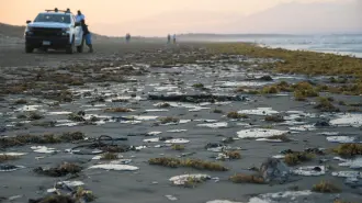Manchas negras de alquitrán cubren partes de una playa mientras miembros de Protección Civil inspeccionan el área antes de comenzar los trabajos de limpieza luego de un derrame de petróleo.