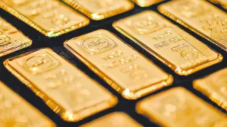 Texto alternativo automático