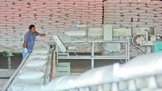 El ingreso ilegal se concentra principalmente a través de la frontera por Ciudad Hidalgo, Chiapas, afectando la estabilidad de los precios domésticos.

¡Síguenos en nuestras redes sociales para mantenerte informado!