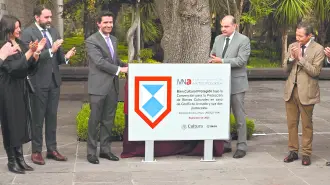 Texto alternativo automático