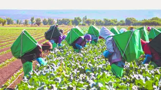 Texto alternativo automático