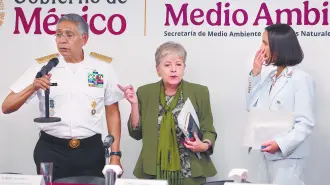 Texto alternativo automático