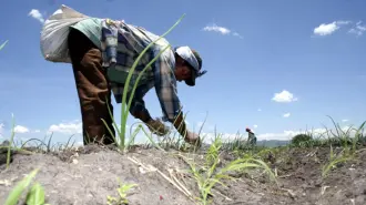El paro nacional convocado para este 6 de abril pone de manifiesto una crisis estructural que el país ha postergado por años, donde problemas como la inseguridad en carreteras, la extorsión y los altos costos de producción han alcanzado un punto de ruptura.