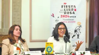 Texto alternativo automático