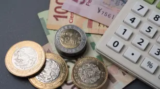 A partir del pago anual de impuestos las empresas tienen 60 días para cumplir con el pago de PTU, de acuerdo con la Ley Federal del Trabajo. 

¡Síguenos en nuestras redes sociales para mantenerte informado!