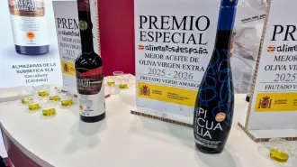 El pabellón del aceite de oliva acerca a viajeros a sabores, orígenes y variedades del producto emblemático de España gastronómica.
