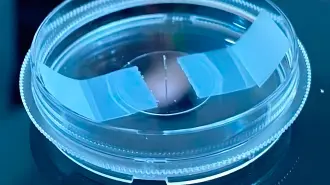 Vaso linfático artificial, orientado a pacientes que han sufrido afectaciones tras tratamientos contra el cáncer.