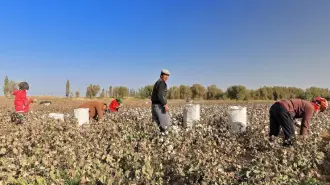 México no está haciendo cumplir de manera efectiva su prohibición de importar productos fabricados con trabajo forzoso, pese contar con medidas legales desde 2023 para hacerlo, de acuerdo con la investigación de la Representación Comercial Estados Unidos