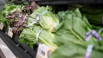 Lechuga expuesta para la venta en una tienda de EU, en medio de informes sobre la caída de la confianza de los consumidores en la lechuga debido a brote de ciclosporiasis