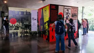 Aspecto general de la muestra.