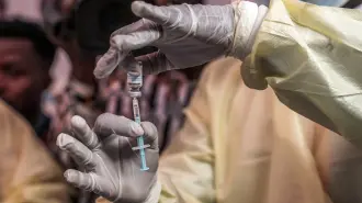 La oportuna aplicación de antibioticos utilizados habitualmente contra las enterobacterias ayuda a curar la enfermedad.