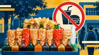 La Corte rechazó amparos contra la restricción a la venta de comida chatarra en las escuelas de México. La decisión confirma que las medidas también pueden aplicarse en universidades y aclara sus efectos para las empresas.

Para más información del tema, visita: https://www.eleconomista.com.mx/explicadores/sentencia-corte-comida-chatarra-escuelas-explicada-20261014-838439.html 

¡Síguenos en nuestras redes sociales para mantenerte informado! 

Twitter: https://twitter.com/eleconomista 
Sitio web: https://www.eleconomista.com.mx/ 
Facebook: https://www.facebook.com/ElEconomista.mx 
Instagram: https://www.instagram.com/eleconomistamx 

#ElEconomista #EETV #ExplicadoresEE