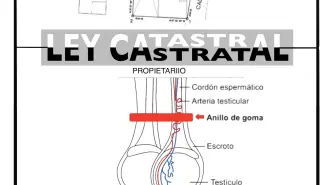 El Economista