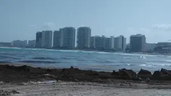 De acuerdo con un reporte de la Red de Monitoreo del Sargazo Cancún, desde Punta Cocos en Holbox al norte del estado, hasta la comunidad costera de Xcalak al sur de la frontera con Belice, se espera que grandes cantidades de sargazo lleguen en las próximas horas a las costas quintanarroenses. Esta mancha de sargazo mide más de 550 kilómetros de diámetro y se encuentra a casi 1,000 kilómetros de distancia.