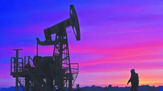 Descripción automática