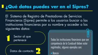 ¿Qué datos puedes ver en el Sipres?